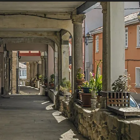 Real 49 Camino Santiago * Neda