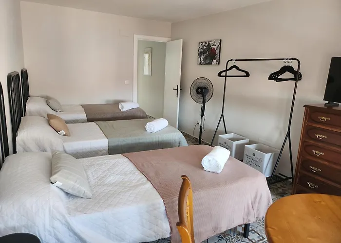 Real 49 Camino Santiago Neda