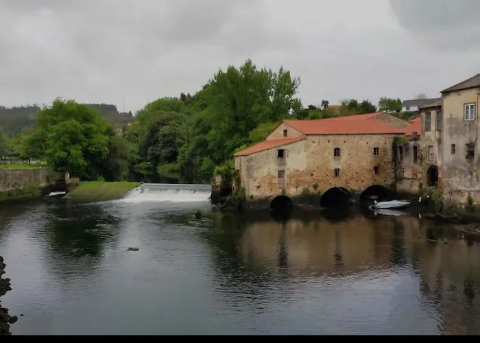 Real 49 Camino Santiago Neda